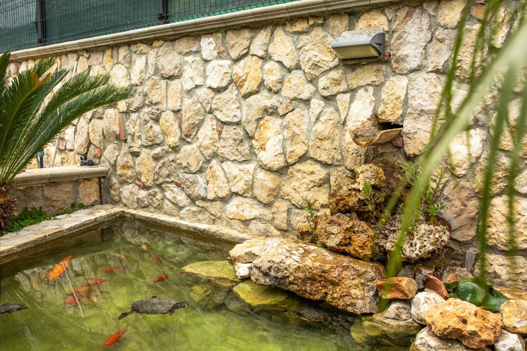 Green Oasis Gabella Castelforte Bagian luar foto